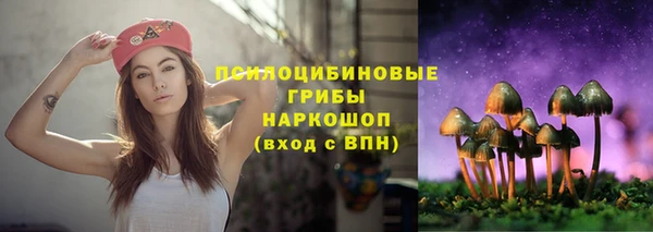 гашик Алексин