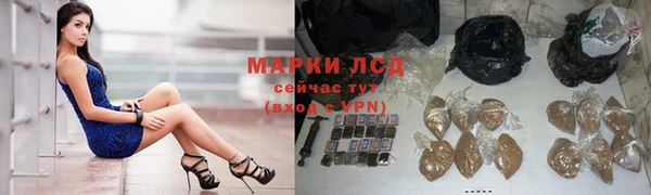 гашик Алексин