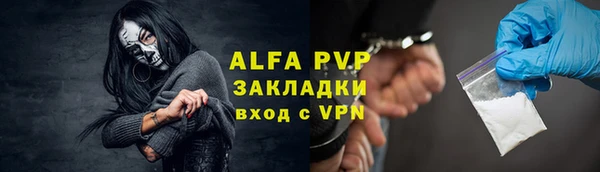 гашик Алексин