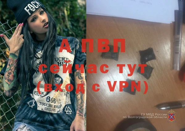 соль ск Алзамай