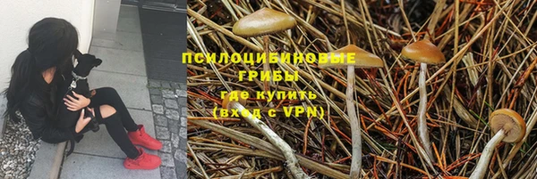 гидропоника Алексеевка
