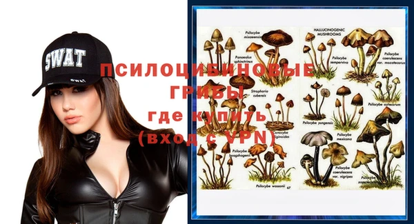 соль ск Алзамай