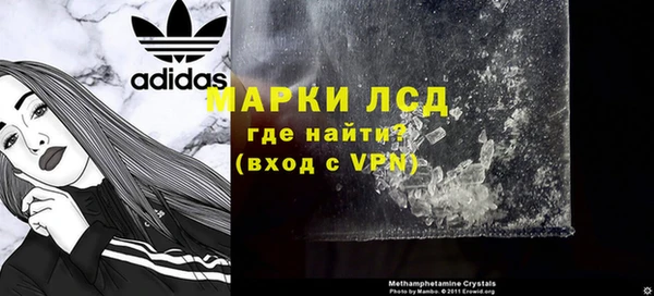 гашик Алексин