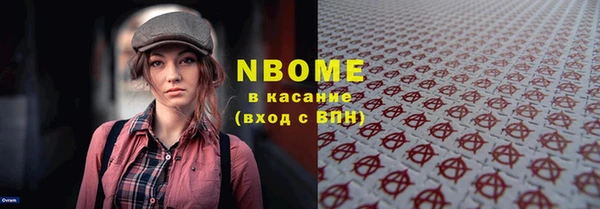 гашик Алексин