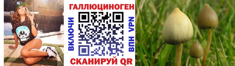 Галлюциногенные грибы Psilocybe  Белоозёрский 